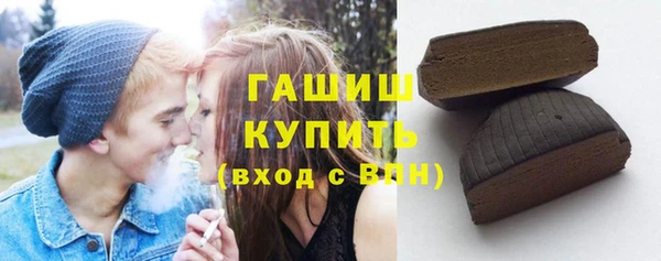 гашик Алексин