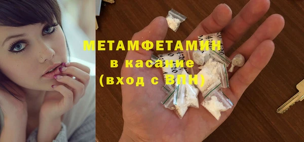 гашик Алексин