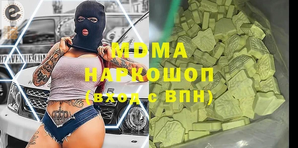 гашик Алексин