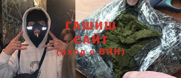 гашик Алексин