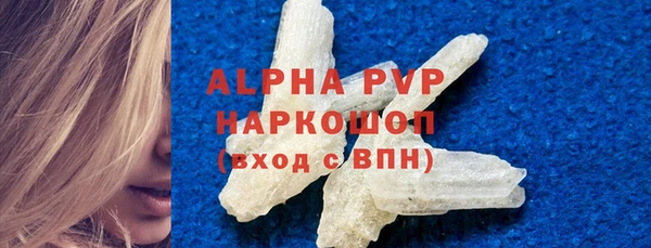 гашик Алексин