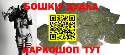 дмт Славгород