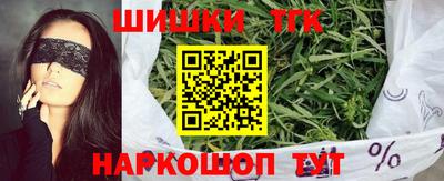 дмт Славгород