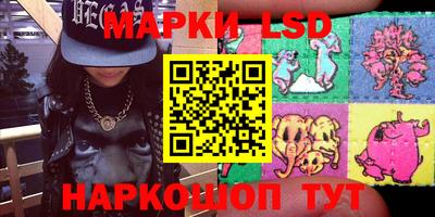дмт Славгород