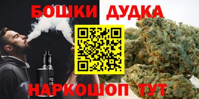 дмт Славгород