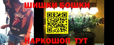 дмт Славгород
