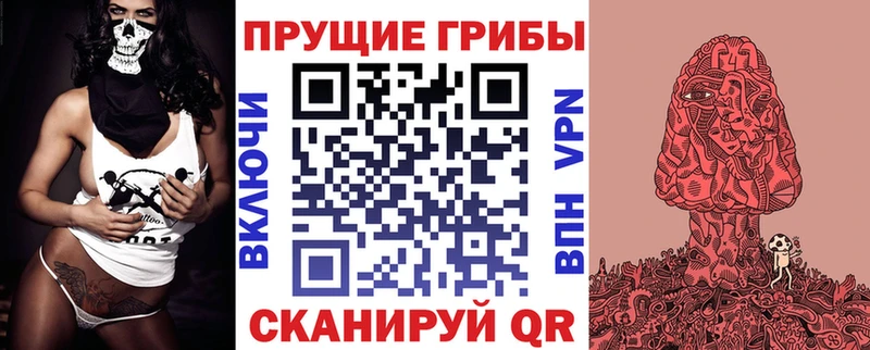 Галлюциногенные грибы Psilocybine cubensis  Ступино 