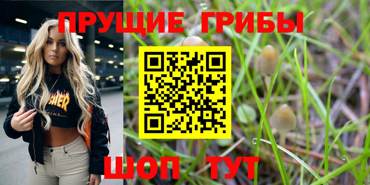Галлюциногенные грибы Cubensis  Псилоцибиновые грибы Cubensis  Вход с VPN  Ступино 